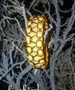 Paracord Bileklik Cobra Üzeri Örgü Desen - Görsel 3