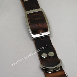 Paracord Pet Tasma Ara Aparatı Deri Toka Set Taba Renk X Large Boy - Görsel 2